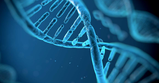 When Prostate Cancer Runs in the Family: What Men Should Know